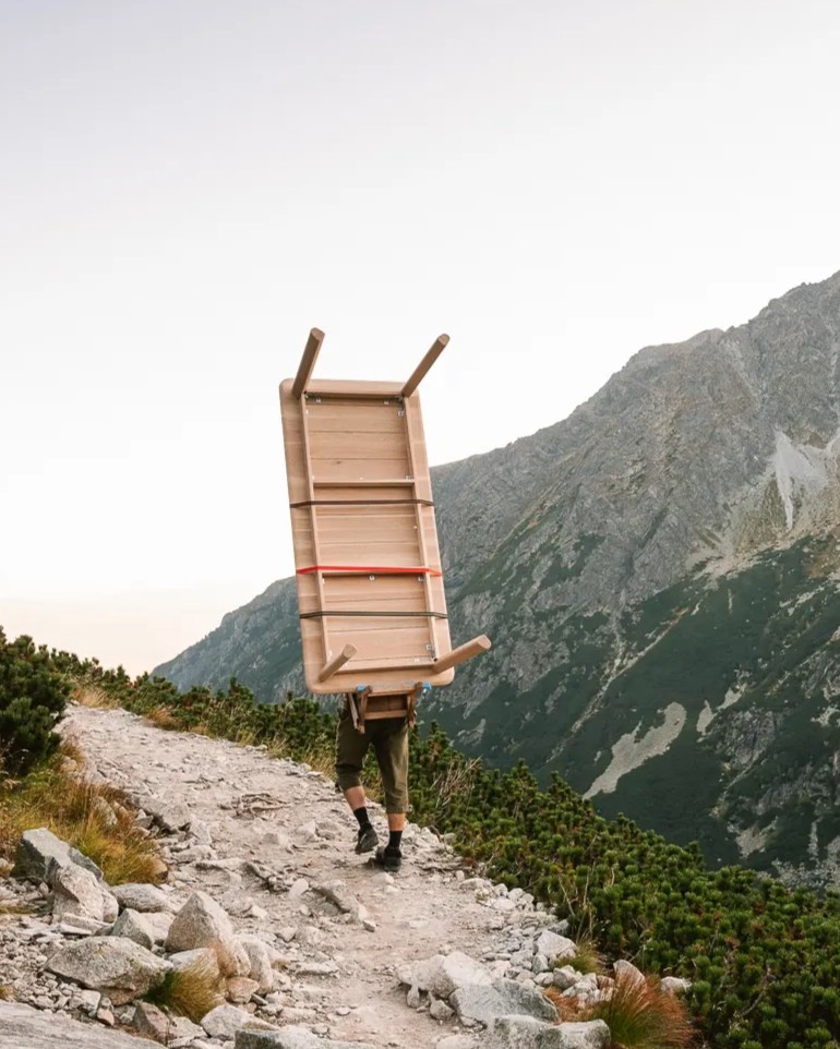 **Professional** Services