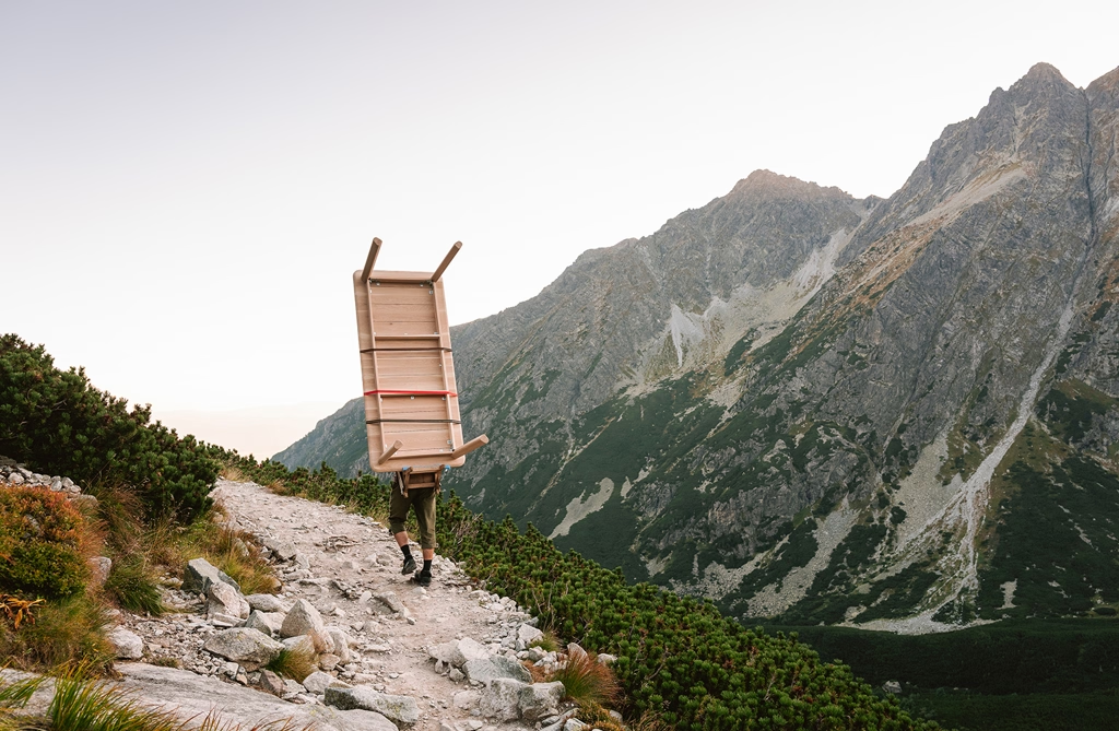 Professional services