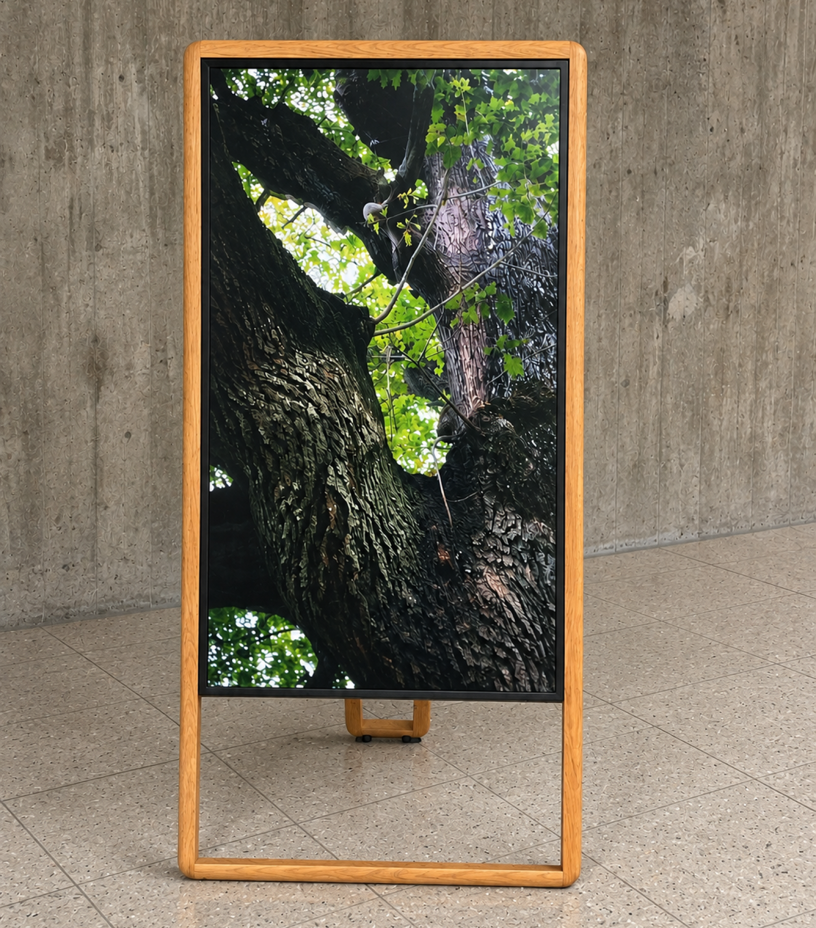 A-BOARD | Digital Signage Display